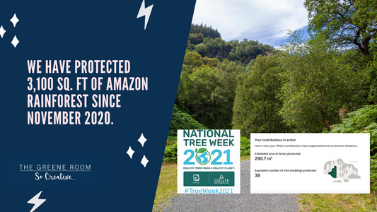 Since November 2020, we have protected 3,100 sq. ft of Amazon Rainforest through our Carbon Offset program