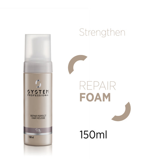 System Professional Repair Foam 150ml